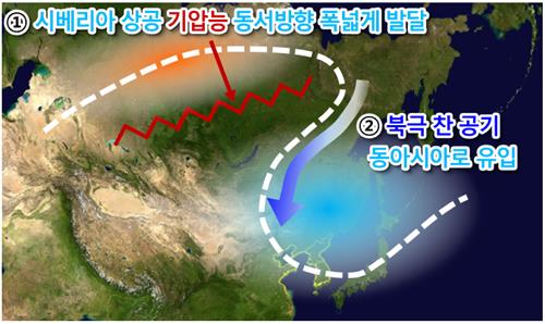 '겨울 개화' 이어 '북극한파'…지난달 기온 변동폭 역대 최대