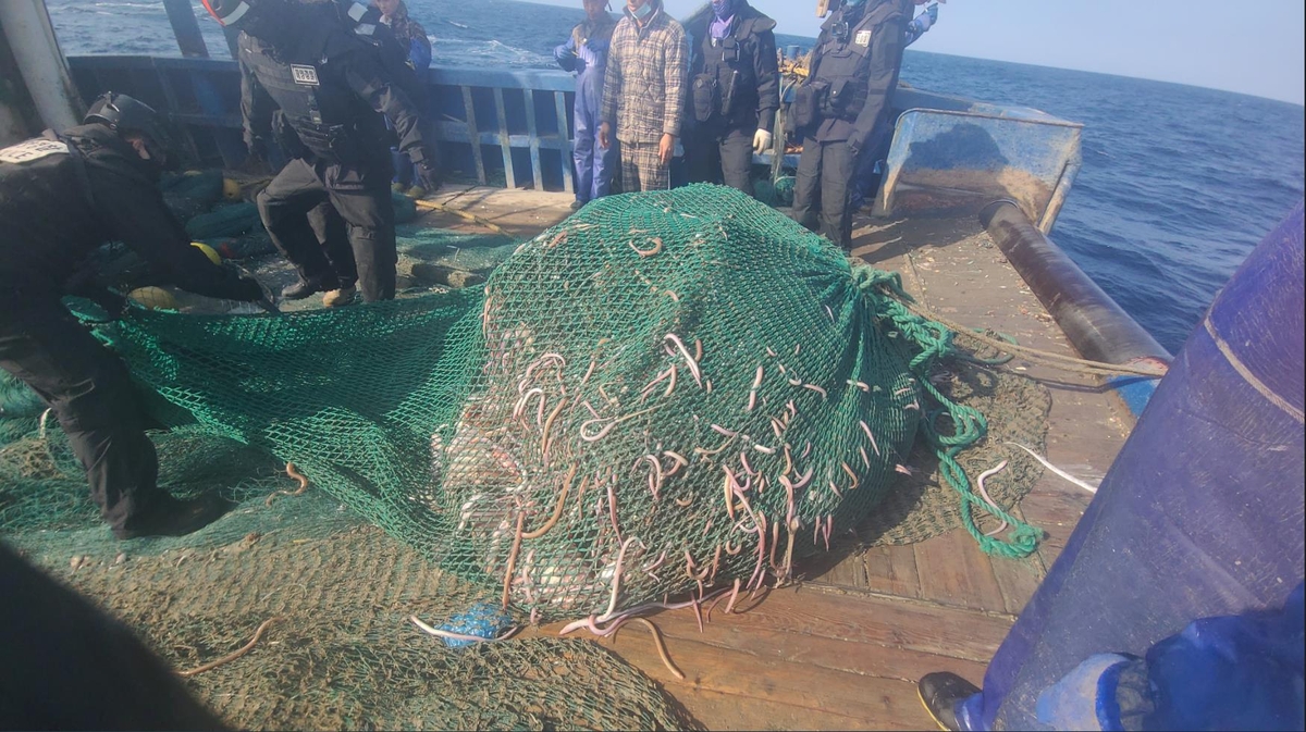 해경, 우리나라 해역서 불법 조업한 중국어선 잇따라 나포