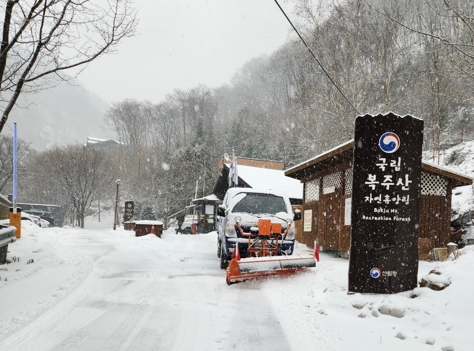 '대설특보' 산림청, 자연휴양림 등 예찰·점검 강화