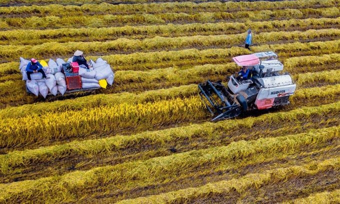 '세계 3위 쌀수출국' 베트남 작년 수출물량 813만t…"역대 최대"