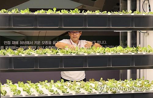 코트라·농어촌공사, 스마트팜 해외 진출 설명회