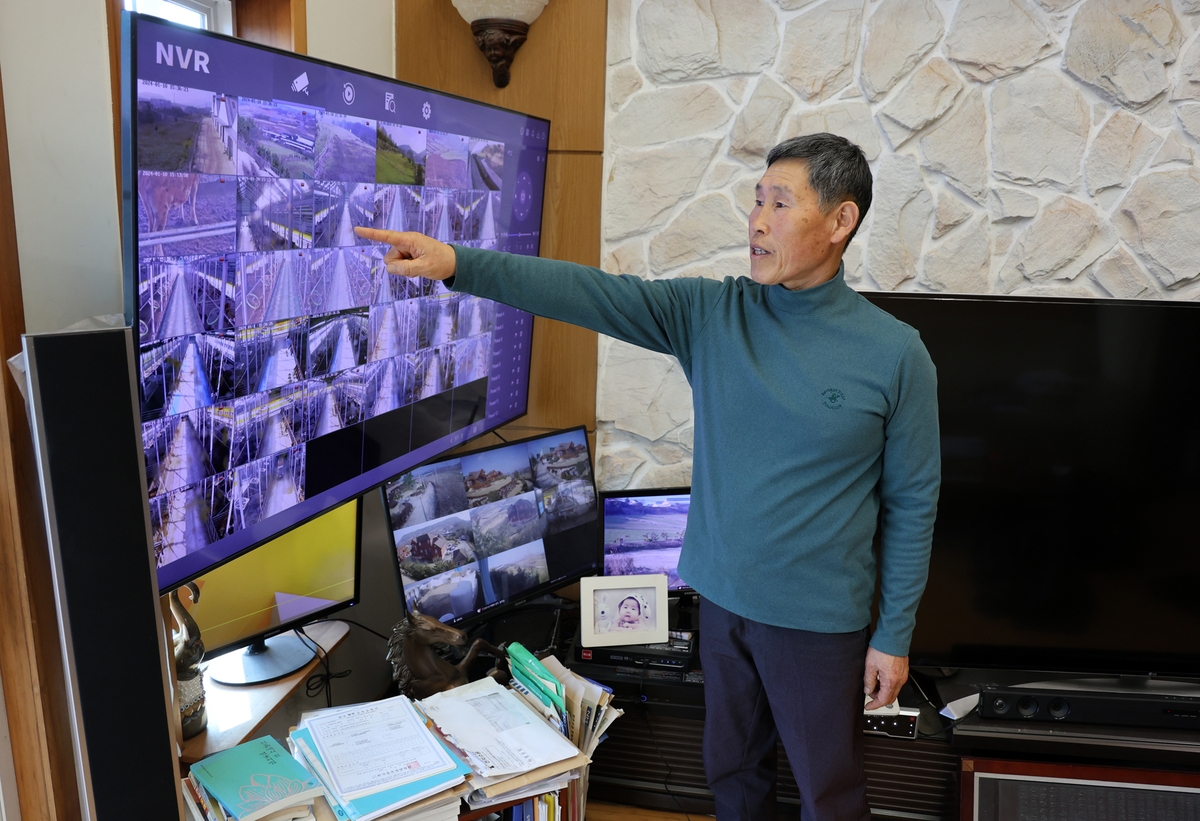 [친환경축산농장을 가다] ⑦"청보리를 먹고 자라 건강해요"