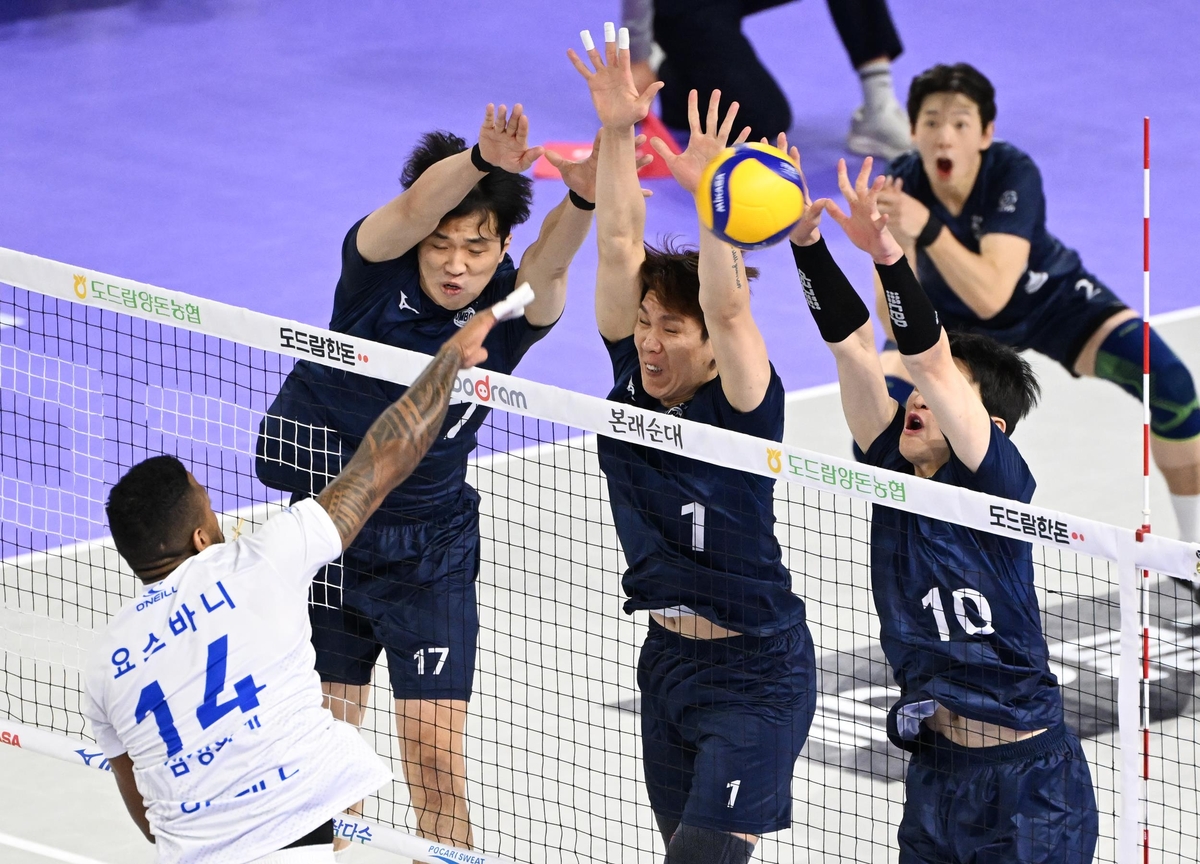 프로배구 대한항공, 1위가 보인다…삼성화재 잡고 훨훨