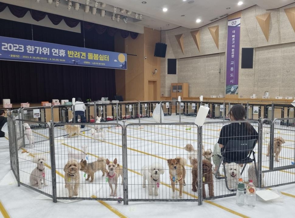 명절엔 구청강당이 반려견호텔로…노원구 '돌봄쉼터' 운영