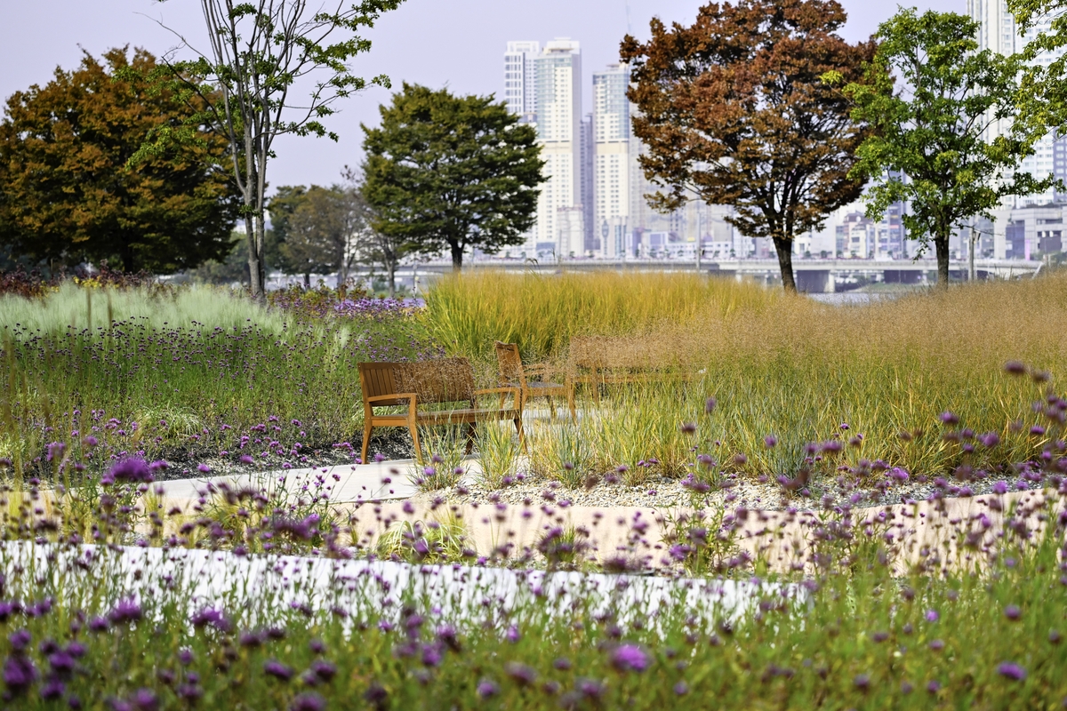 울산 남구, '명품 정원도시 조성'…상반기 80% 완료 목표