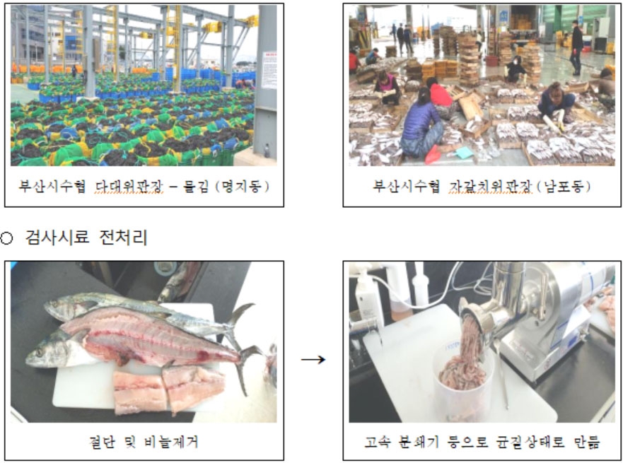 부산시 수산자원연구소, 수산물 안전성 조사 확대