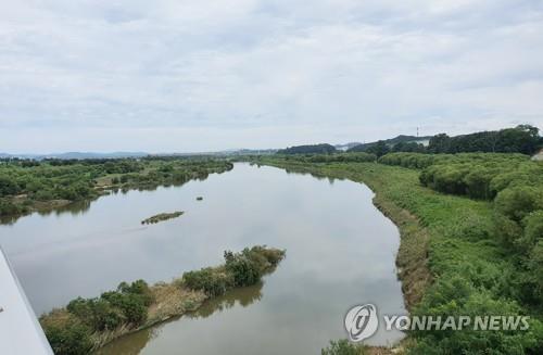 '청주의 젖줄' 미호강 수질 2등급…"강수량 증가 영향"