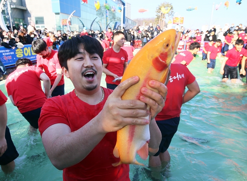 [청소년올림픽] 선수단·군민 대상 평창송어축제 무료 이벤트