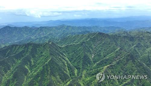 나무 심고 숲 가꿔 탄소흡수 늘린다…충남도, 52개 사업 추진