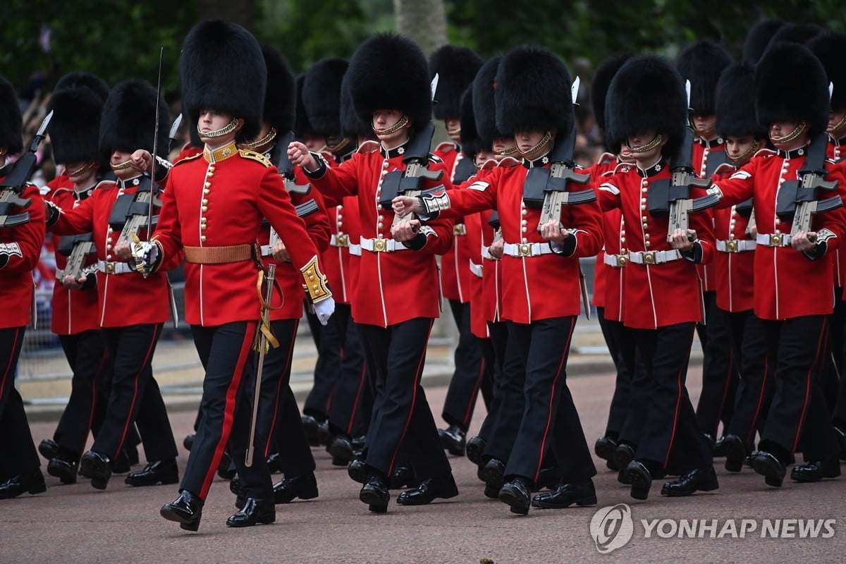 英왕실 근위병 상징 털모자 바뀔까…"흑곰 희생 없어야"