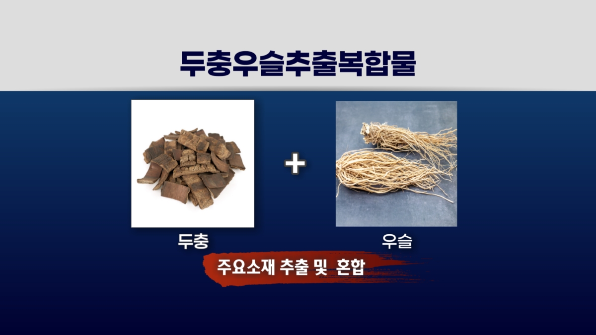 KGC인삼공사 "男건강 기능성소재 식약처인정...글로벌기업 도약"