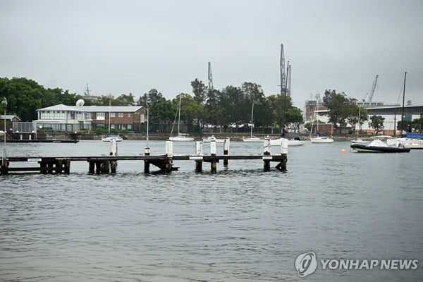 함부로 버린 사체 때문에…항구에 '상어' 출몰