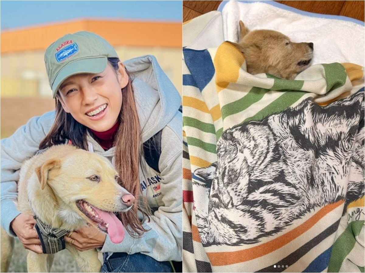 イ·ヒョリの愛犬モカ、純心に続いて虹の橋を渡った
