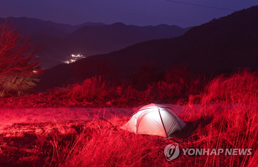 여주 남한강 강천섬에 캠핑장 조성…8월부터 운영