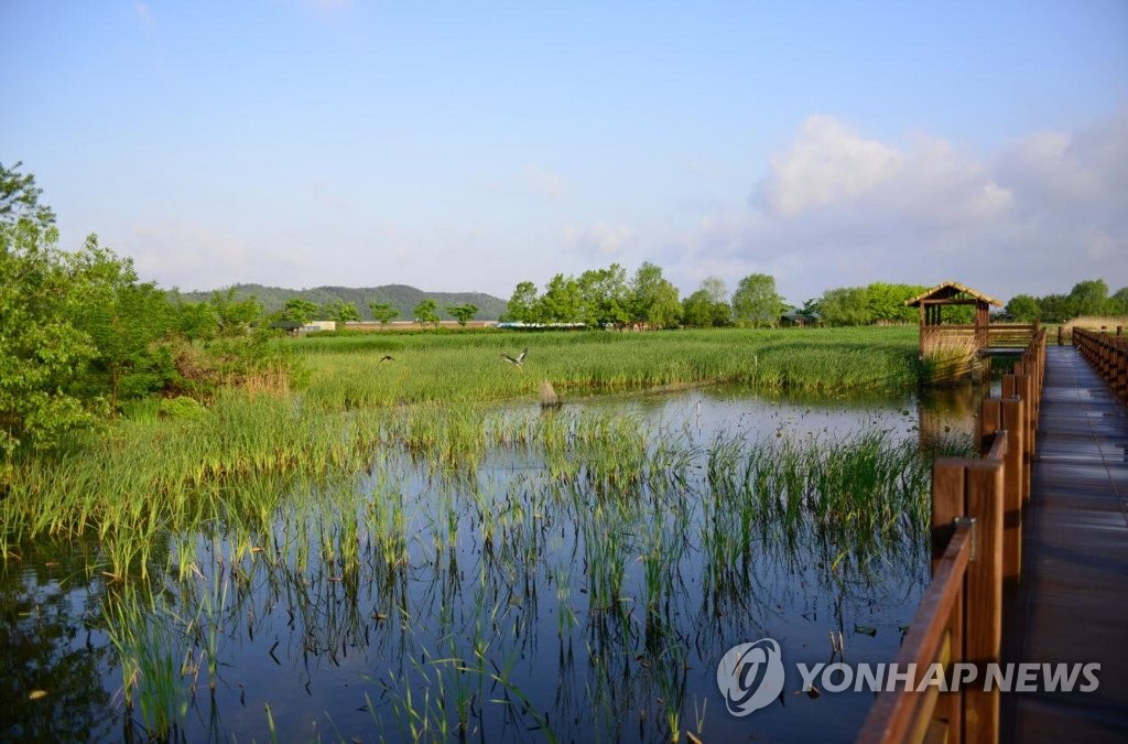 [시화호 30년] ③ 해양레저·생태관광 메카…'화려한 변신'을 꿈꾼다(끝)