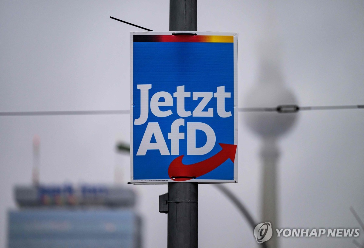 독일 극우 정당의 약진…AfD 당원 1년여만에 37% 늘어