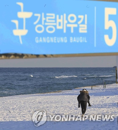 "걸어서 지구 한 바퀴" 강릉바우길, 주말 걷기 9천800㎞ 돌파