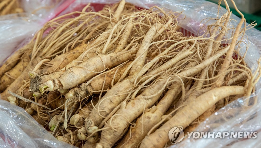 [통통 지역경제] '인삼의 고장' 증평…체험으로 산업 키운다