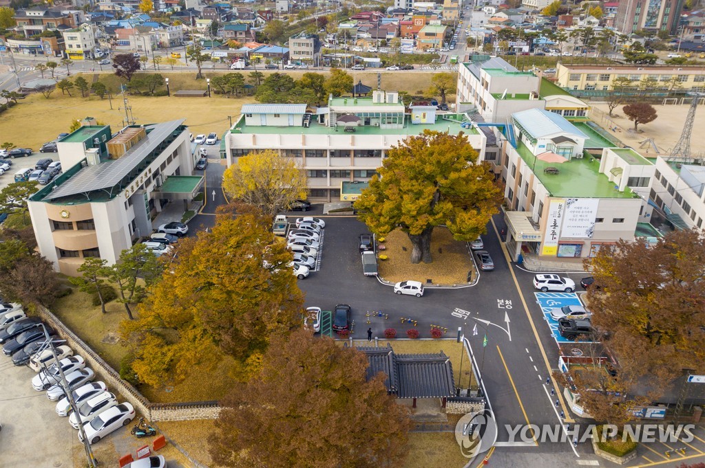 "열차·택시 타고 새조개 먹으러"…홍성군, 관광상품 출시