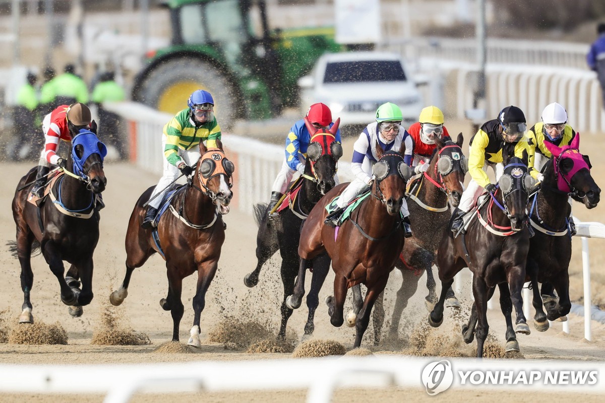 제주도, 은퇴 경주마 여생 보내는 휴양목장 조성