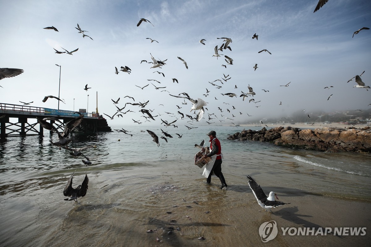 칠레, '국제수역 해양생물 보전 협정' 세계 첫 비준