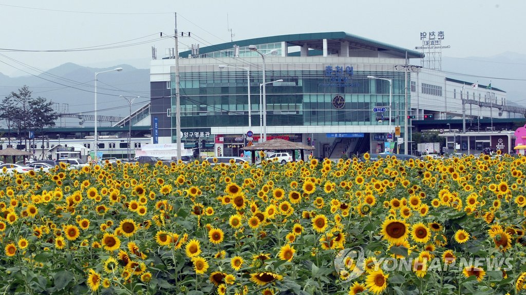 춘천시 '춘천역세권 개발사업' 예타 조사 신청…통과 관심