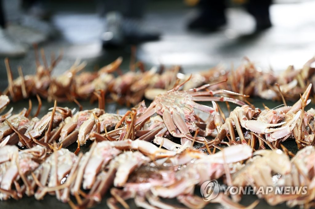 장기간 갈등 '강원-경북 대게 조업 분쟁' 해소되나