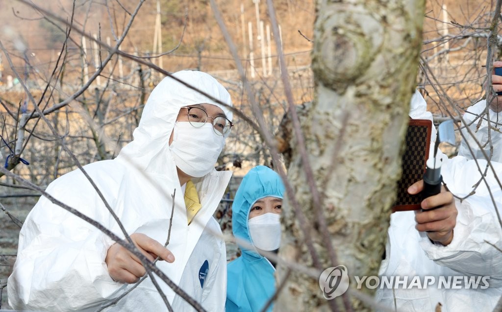 식물병해충 정밀검사 기관 늘린다…"신속 진단 기대"