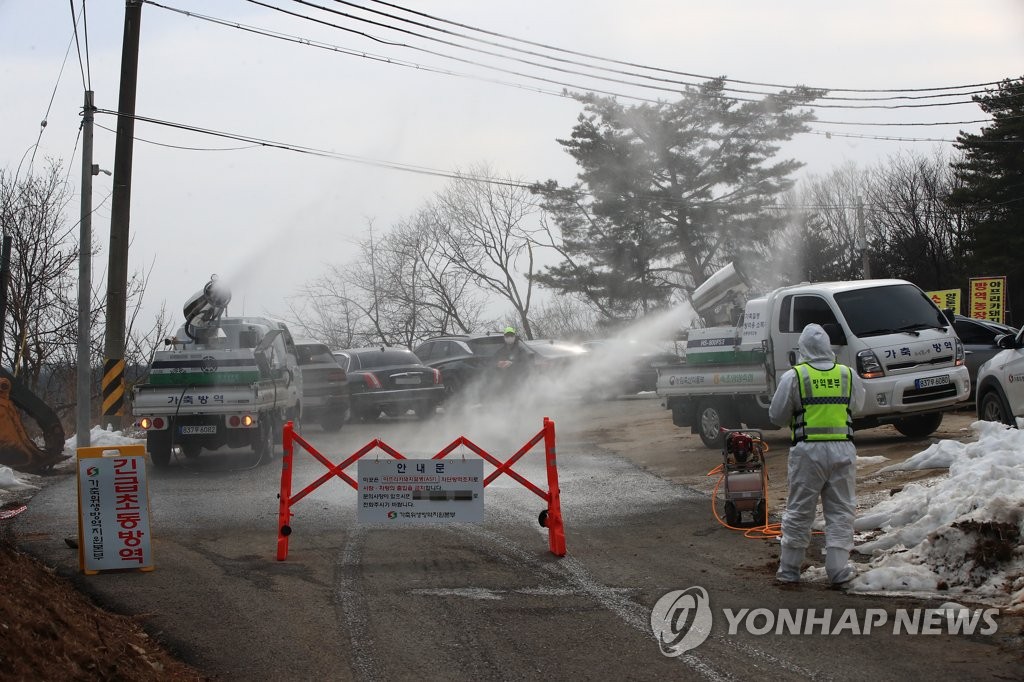 정부, 아프리카돼지열병 최초 검출된 경북 영천 합동점검