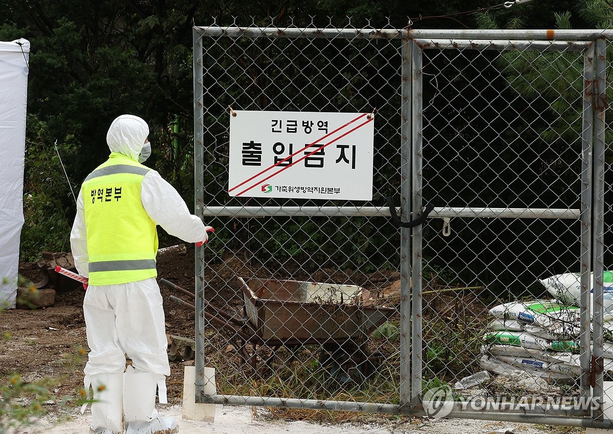 야생멧돼지 아프리카열병 막아라…충주시 현장점검