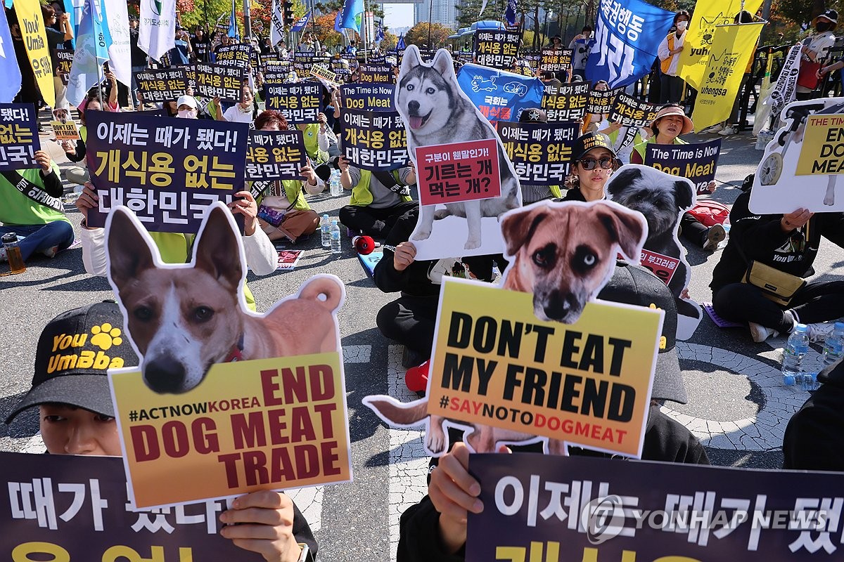 개식용 금지법에 동물단체 "역사적"…육견협회 "먹을 권리 강탈"(종합)