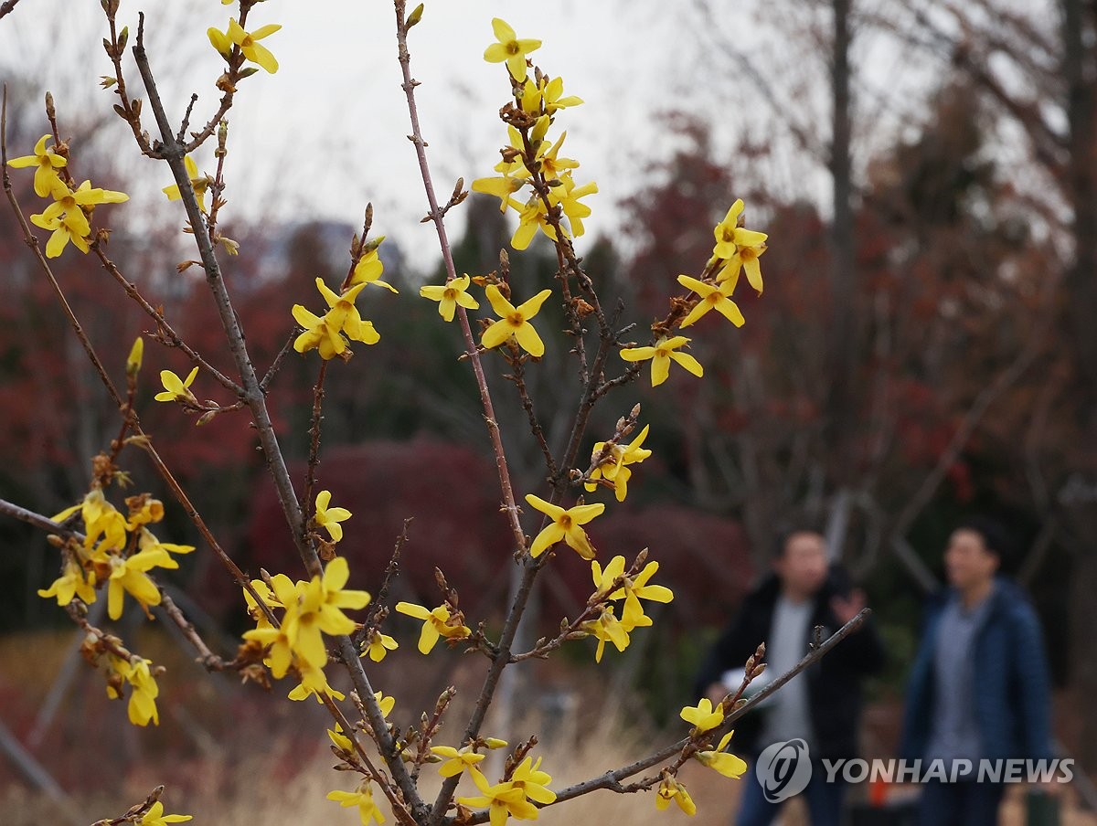 '뜨거워지는 한반도'…2023년, 역대 가장 더운 해였다