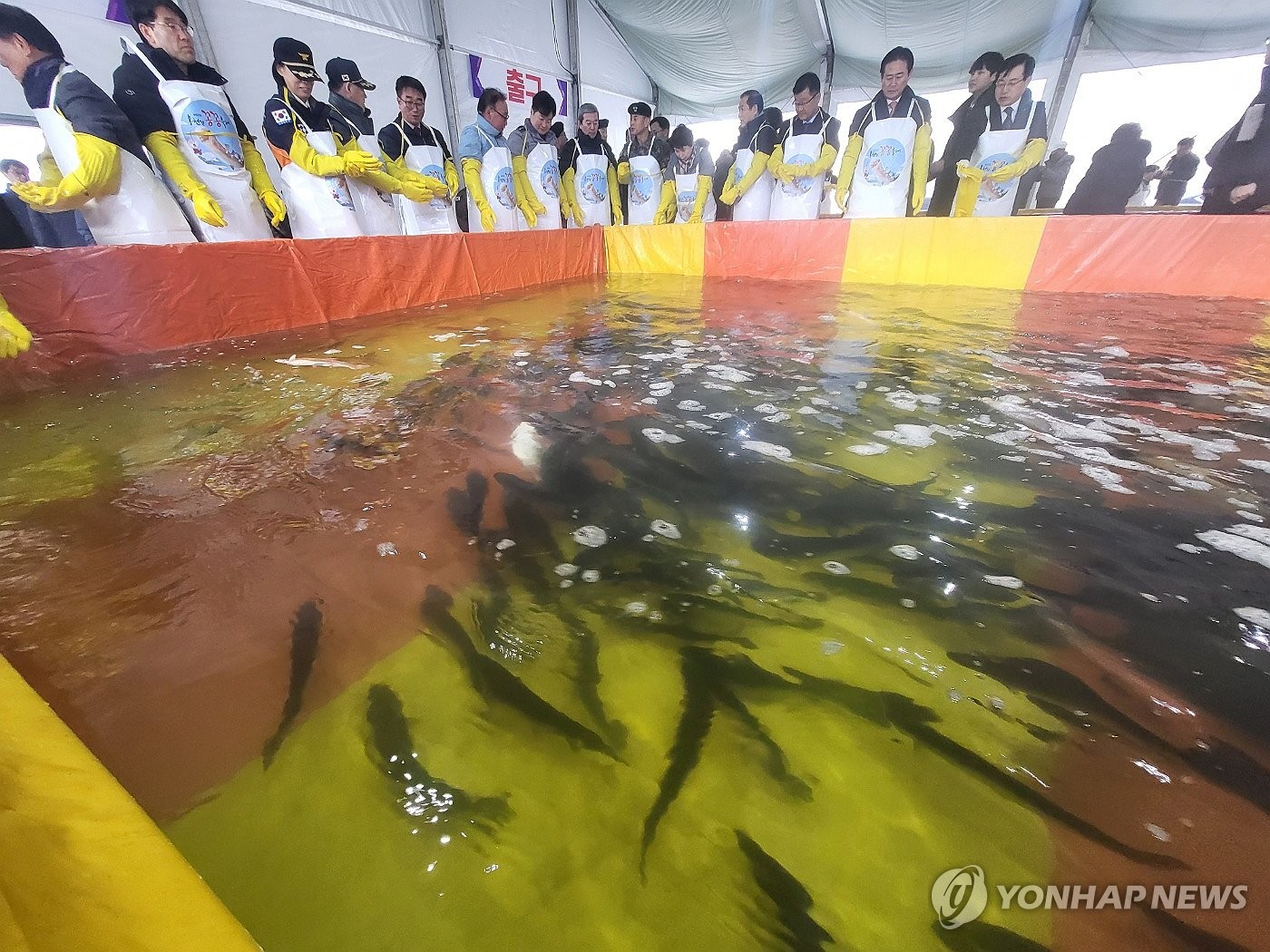 '입맛·손맛 짜릿' 홍천강 꽁꽁축제 주말 열기 절정