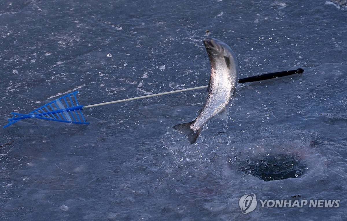 '추울수록 좋다' 화천산천어축제 개막 이틀 새 18만여명 '만끽'(종합)