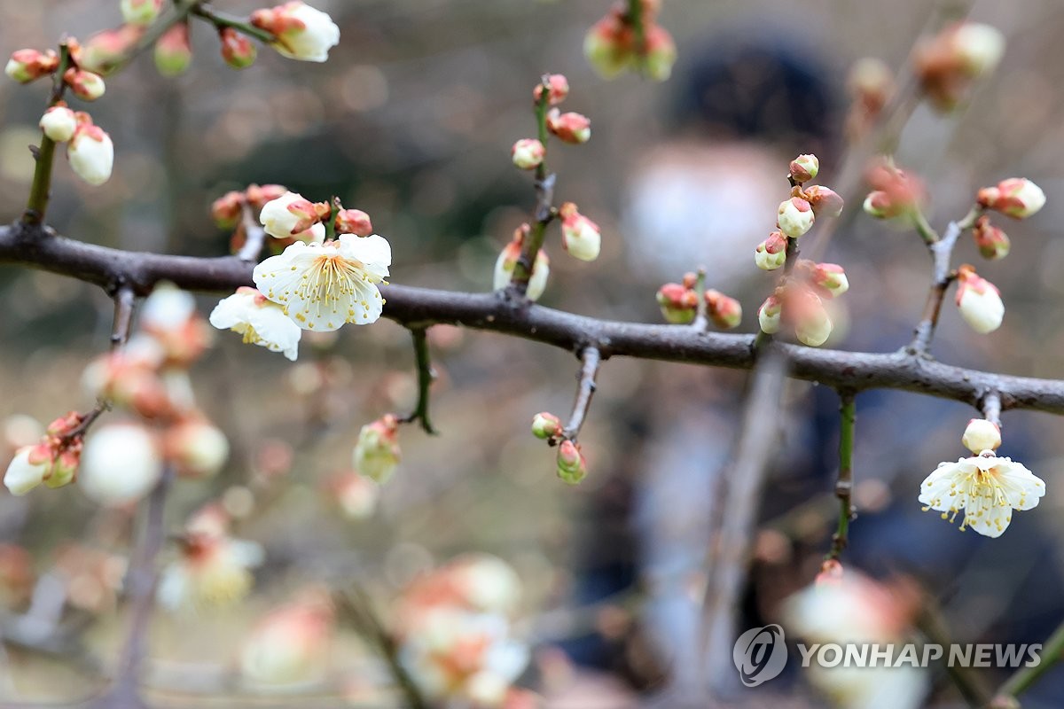 제주 맑은 후 차차 흐려져…낮 최고 17도