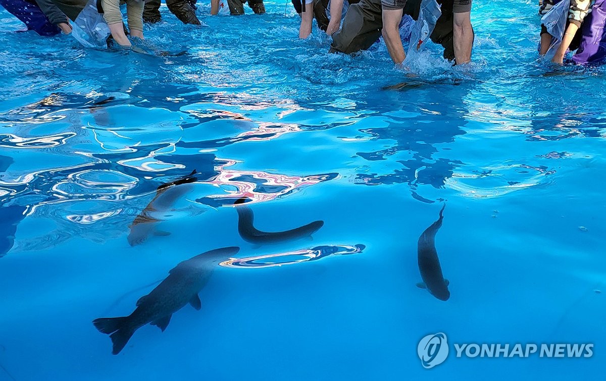 홍천강 꽁꽁축제 성황리에 폐막…16만5천명 방문