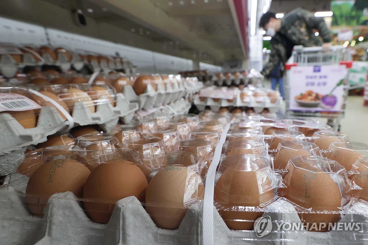 계란 가격 오르자 산란계 사육 마릿수 4.1%↑…소·돼지는 감소