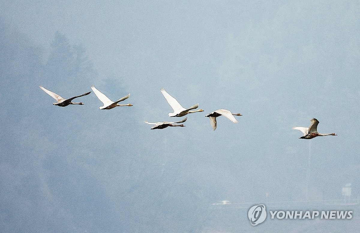 월요일 서울 아침 -7도…추위 화요일까지 이어져