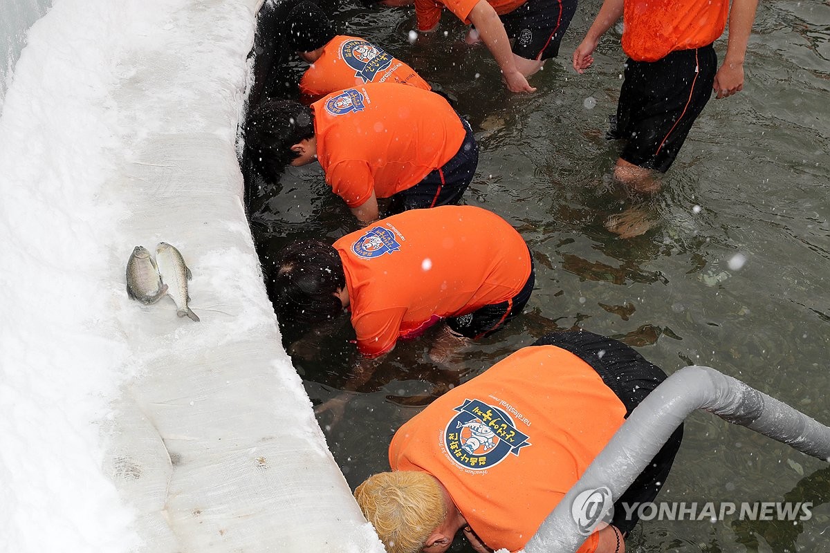 [길따라 멋따라] "왜 나만 꽝?" 산천어·송어, 이래야 잡힌다