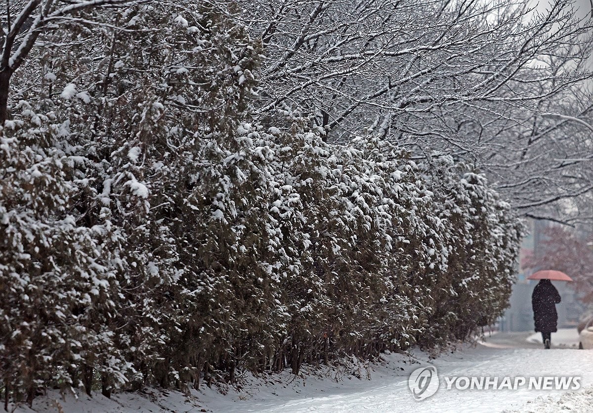 강원영동·충청·남부 '당분간' 우산 챙기세요…곳곳 눈·비