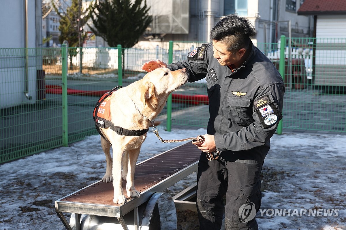 양주채석장 사고때 실종자 2명 찾아낸 아롱이 '영예로운 은퇴'