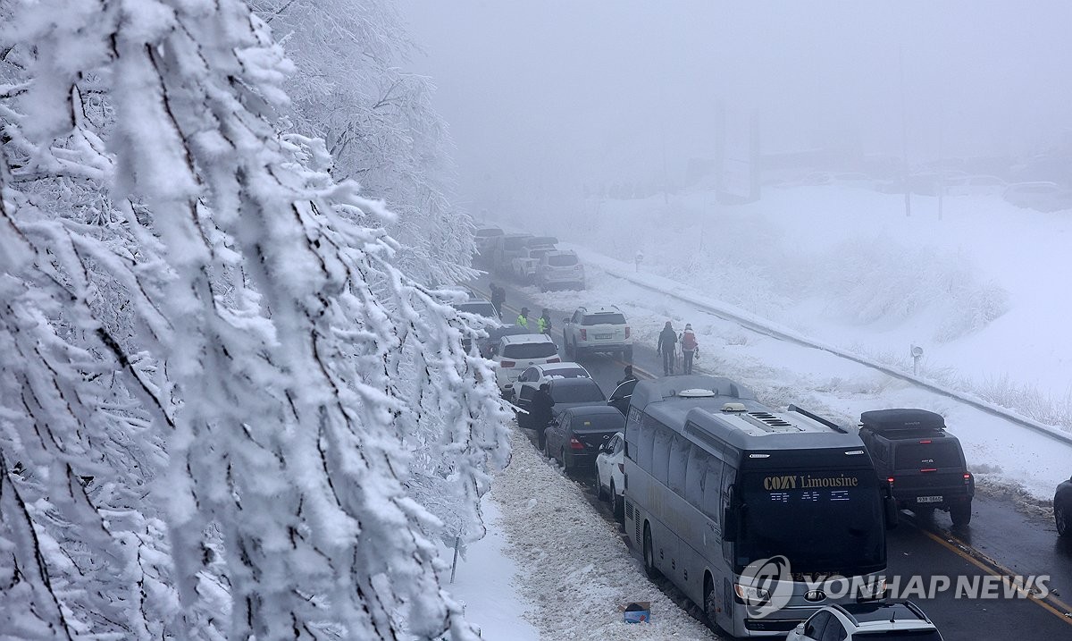 폭설이 선물한 겨울왕국…대관령 '눈꽃산행 등산객' 북적