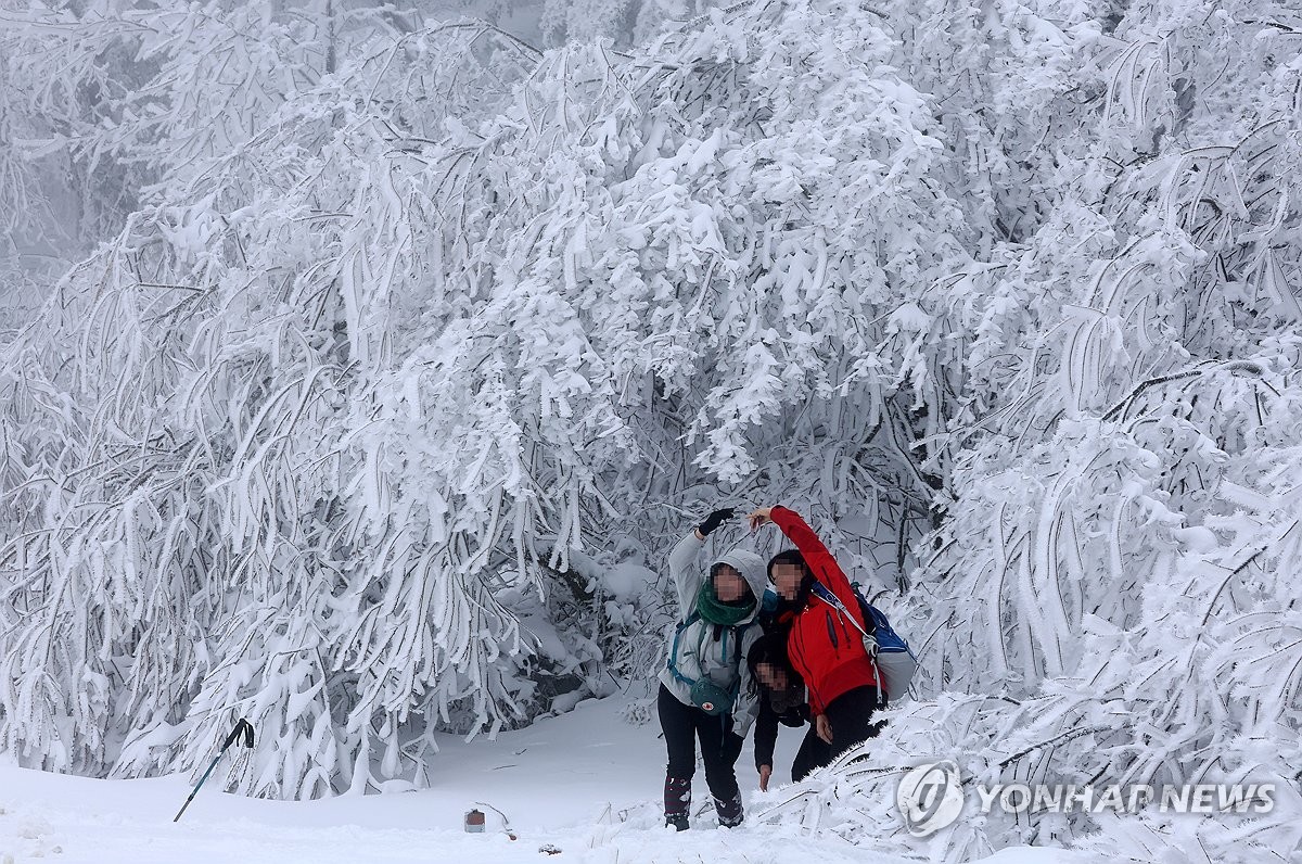 폭설이 선물한 겨울왕국…대관령 '눈꽃산행 등산객' 북적