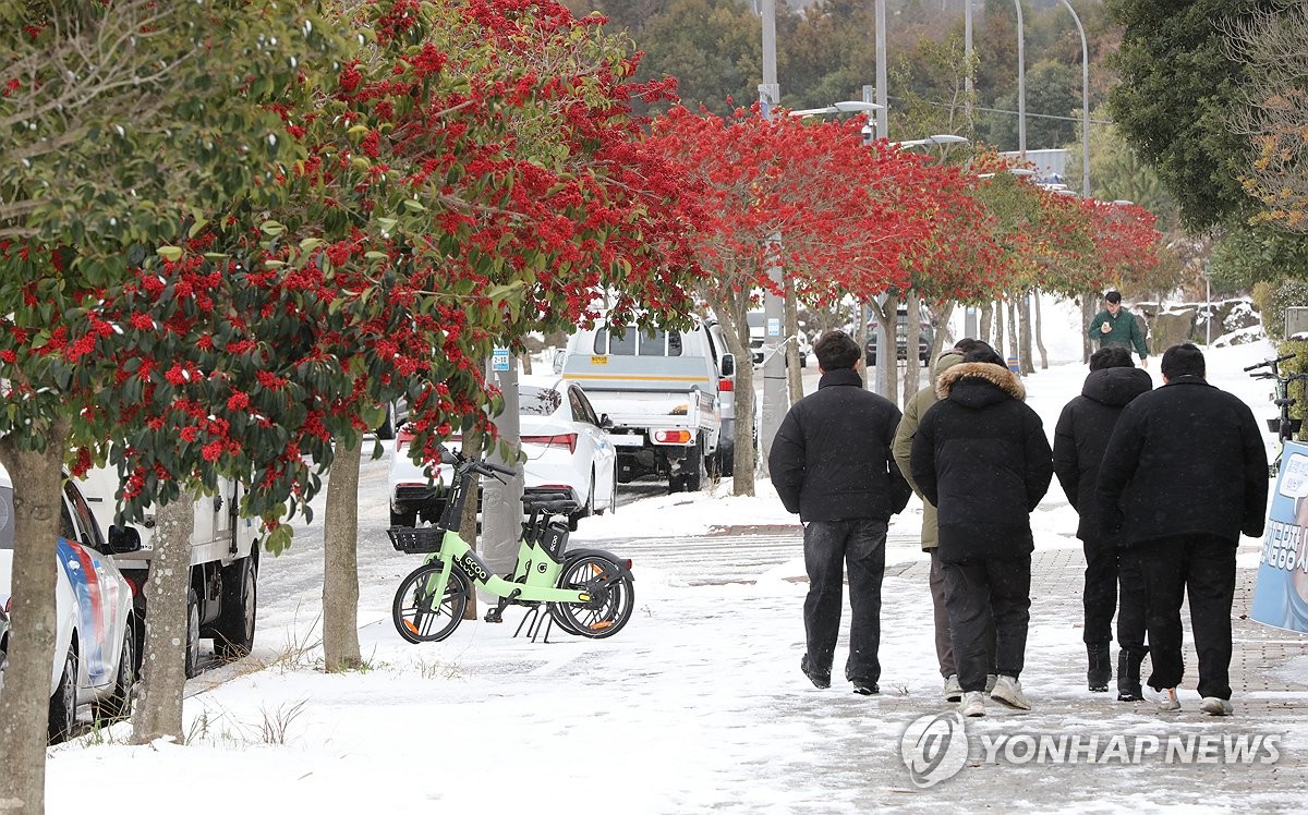 제주도 3일째 온통 '꽁꽁'…"항공편 운항 확인 필요"