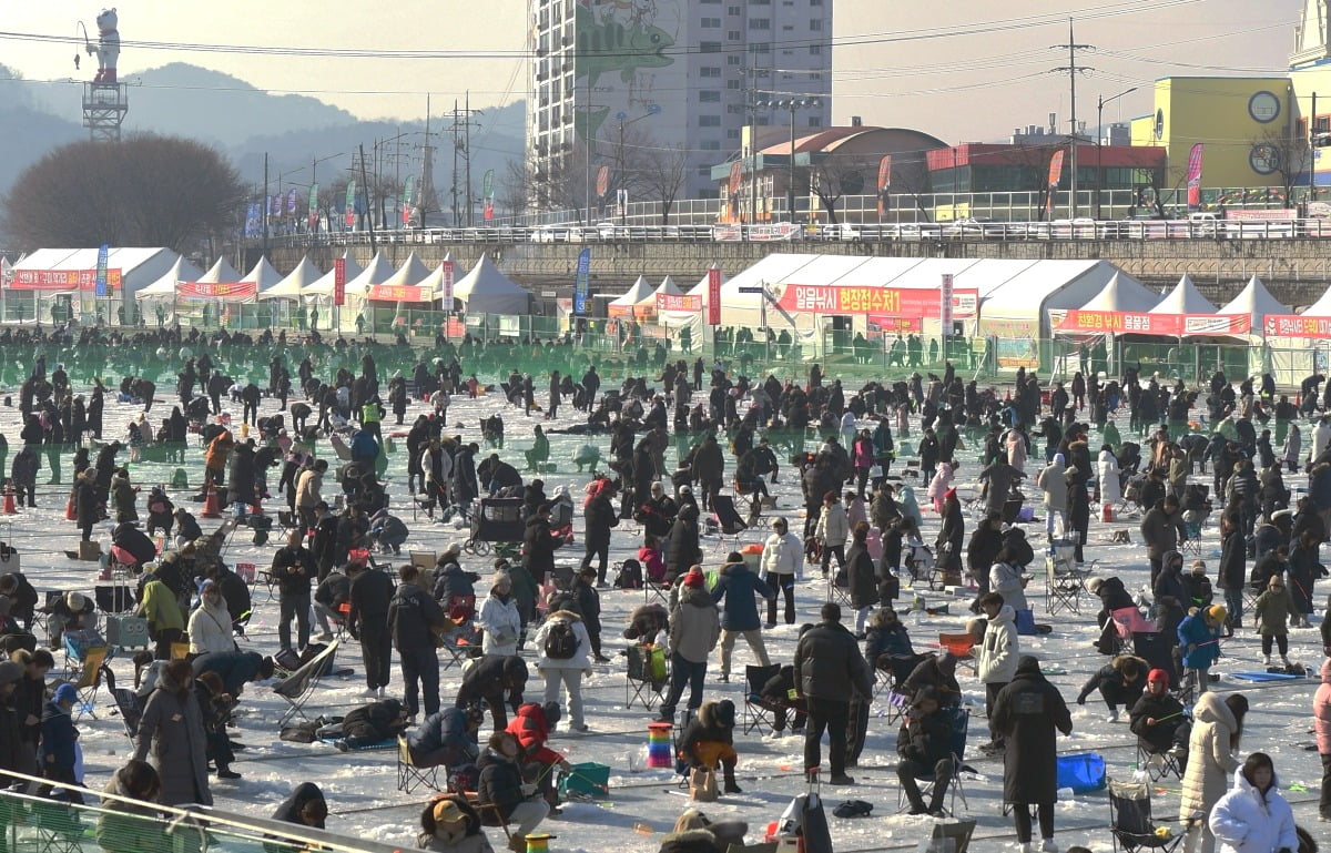 '물고기 학대' 논란에도 "성공적 마무리"…150만명 찾은 축제