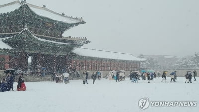 내일~모레 '서울 최대 10㎝ 이상' 등 많은 눈