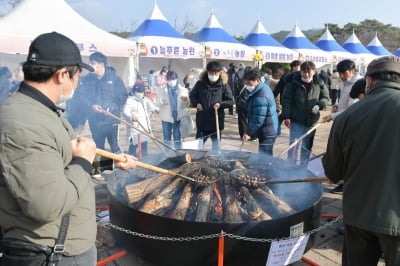 "겨울간식은 군밤이 최고"…26∼28일 '겨울공주 군밤축제'