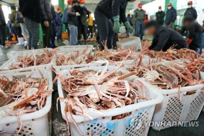 장기간 갈등 '강원-경북 대게 조업 분쟁' 해소되나