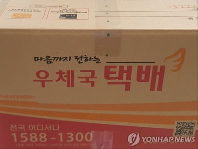 우체국서 택배상자 밀어 직원 다치게 한 70대…벌금 100만원