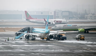 "비행기 빨리 탈거야"…공항 보안요원 폭행한 승객